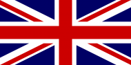 Flaga Wielkiej Brytanii koszulka damska