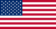 Flaga USA koszulka damska