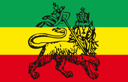 Rasta - koszulka damska