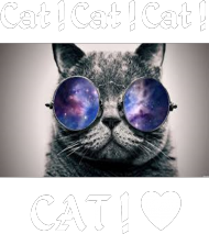 I love cat ! ♥