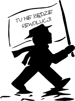 Tu nie będzie rewolucji