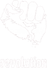 Revolution