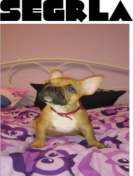 SEGRLA