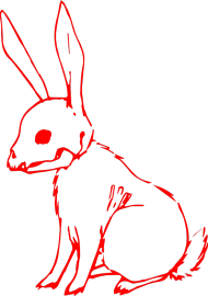 Red bunny