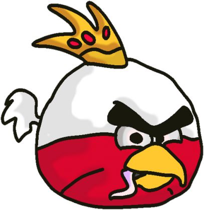 KOSZULKA ANGRY polska