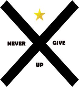 T-SHIRT STARSWEAR NEVER GIVE UP STARS