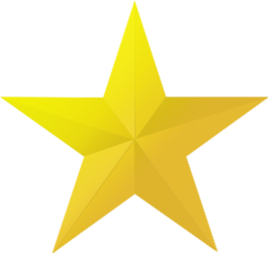 T-SHIRT STARSWEAR X STAR