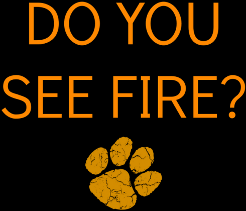 ED SHEERAN - I SEE FIRE TORBA