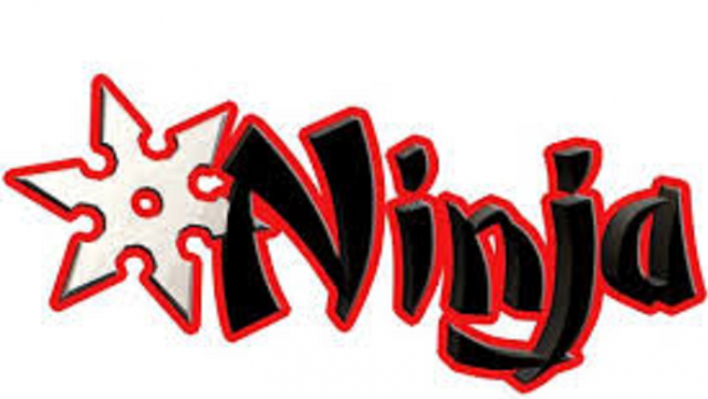 LITTLE NINJA