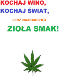 Ziiooołoo
