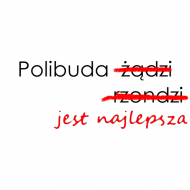 Polibuda kubek