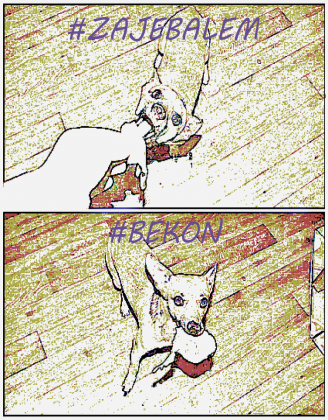 Bekon