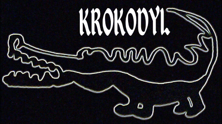 krokodyl ZOO