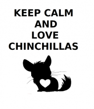 Keep Calm & Love Chinchillas - kubek różowy