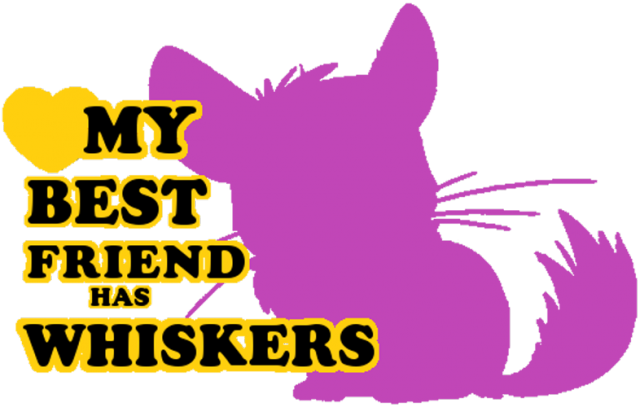 My Best Friend Has Whiskers - Koszulka