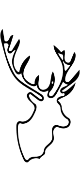 Jelonek