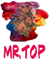 Mr.TOP