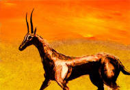 Koszulka egzotyczna ;]