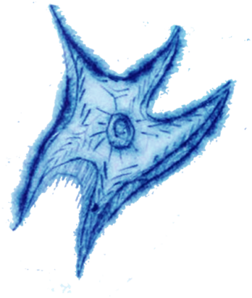 Rozgwiazda Blue