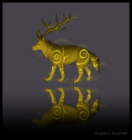 WOLEER Golden Spirit