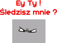 Koszulka na codzień