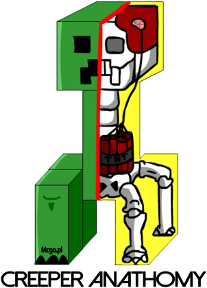 CREEPER ANATHOMY damska