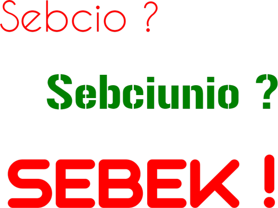 SEBEK !