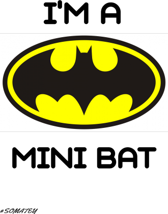 MINI BAT!