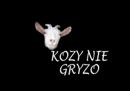 kozy nie gryzo