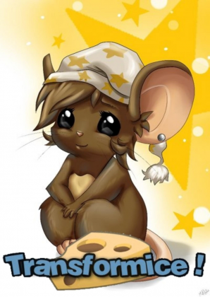 Plakat pionowy "Transformice !"