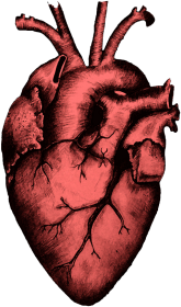 Mroczne anatomiczne serce