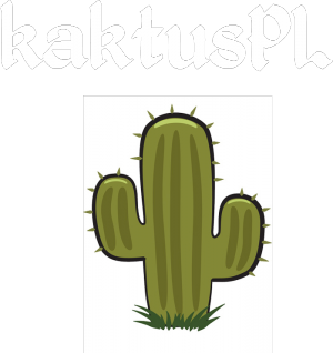 Kaktusowa koszulka - nadruk