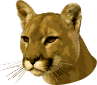 Puma - kubek (dwustronny)