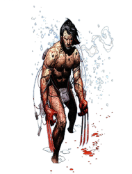 Wolverine