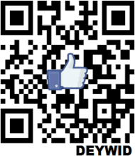 KOSZULA MĘSKA Z KOD DEYWID