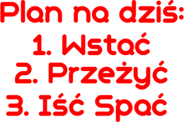 Plan na dziś (1)