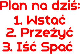 Plan na dziś (2)