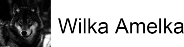 bluza z kapturem i komętarzem