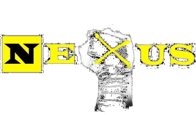 koszulka z wwe,,CM Punk nexus"