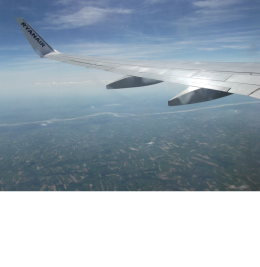 T SHIRT LECĘ