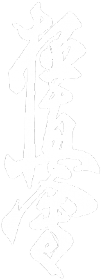 Koszulka Kyokushin