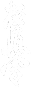 Koszulka Kyokushin