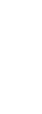 Koszulka Kyokushin