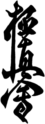 Kubek Kyokushin