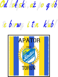 Koszulka "Apator Hooligans"