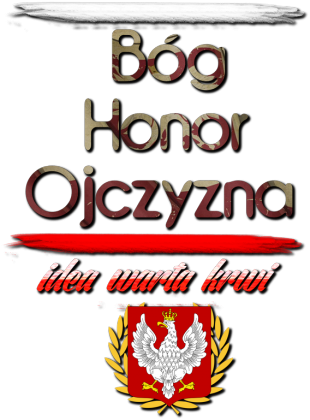 Koszulka BHO