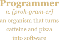 Programmer