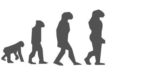 Przestańcie za mną chodzić