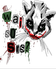 Wai so srs?