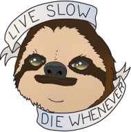 Live Slow Die Whenever #1 Bluza dwukolorowa męska